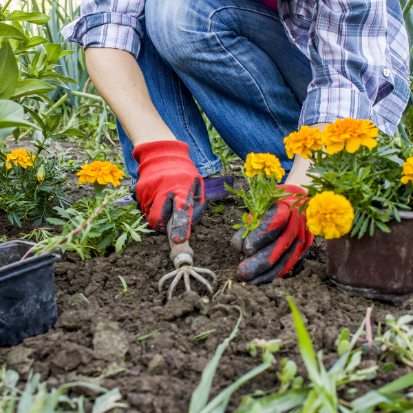 Aménagement et Entretien Paysager pour Petits Espaces | <5m²