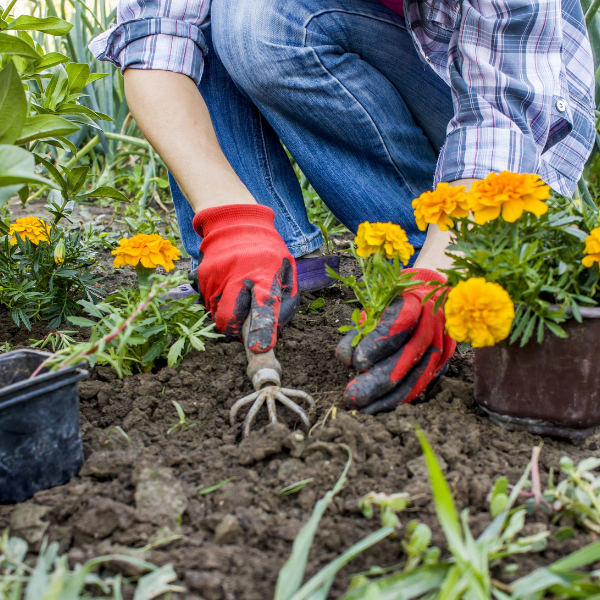 Aménagement et Entretien Paysager pour Petits Espaces | &lt;5m²